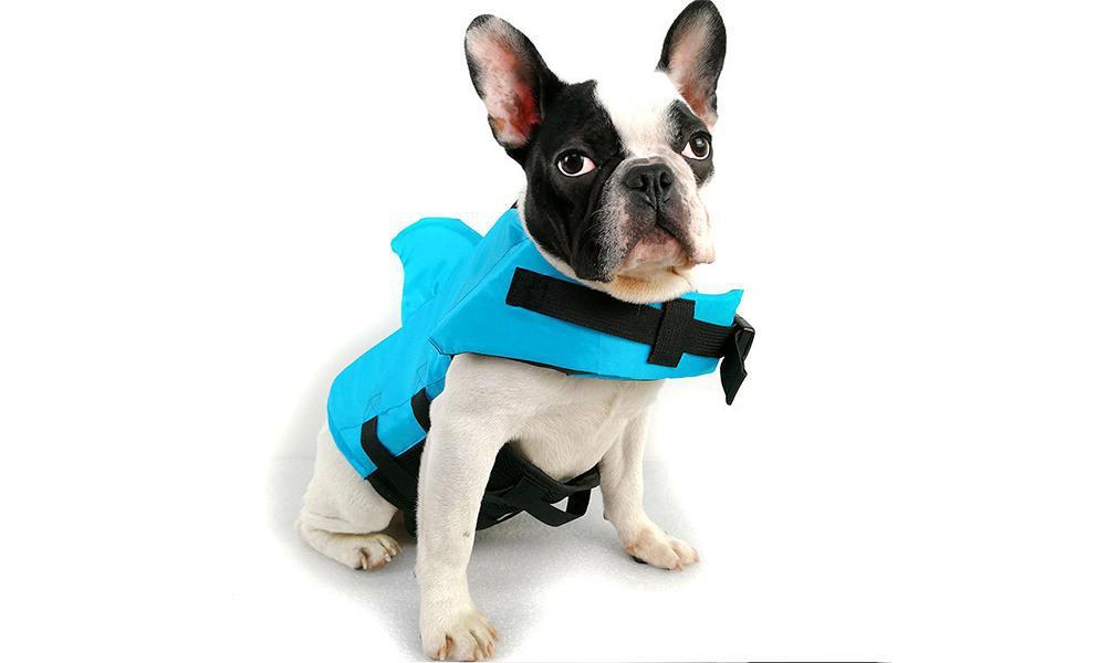 Shark Fin Dog Life Jacket Swimming Vest Pet Life Jacket Vest Pet Comfortable Swimming Clothes
