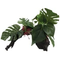 URS Plastic Plant on Driftwood Reptile Accessory 37