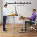 Advwin Adjustable Height Electric Standing Desk Walnut Color