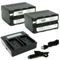 Wasabi Power Battery (2-Pk) & Dual Charger for Sony NP-F950 NP-F960 NP-F970 F975
