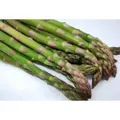 ASPARAGUS 'Mary Washington' seeds - Standard packet (see description for seed quantity)