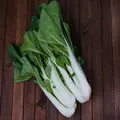 PAK CHOI White Stem / Buk Choy seeds - Standard Packet (see description for seed quantity)