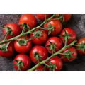 TOMATO Moneymaker seeds - Standard packet (see description for seed quantity)