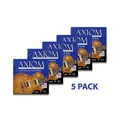Axiom Electric Guitar Strings 9-42 - 5 PACK