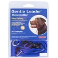 Gentle Leader Dog Training Headcollar Blue Small