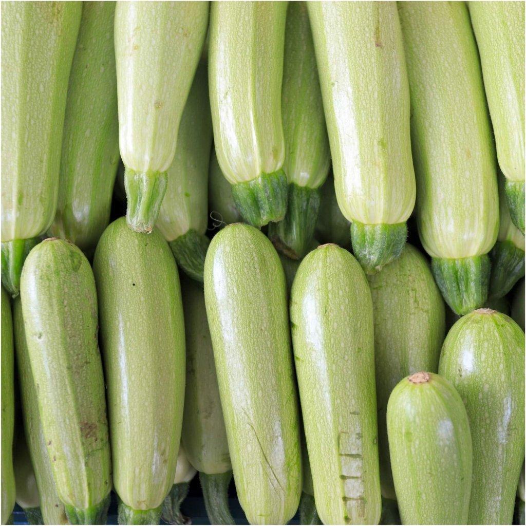 Zucchini - Grey (Lebanese) seeds