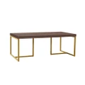 Shaan Walnut and Gold Coffee Table