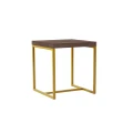 Shaan Walnut and Gold End Table