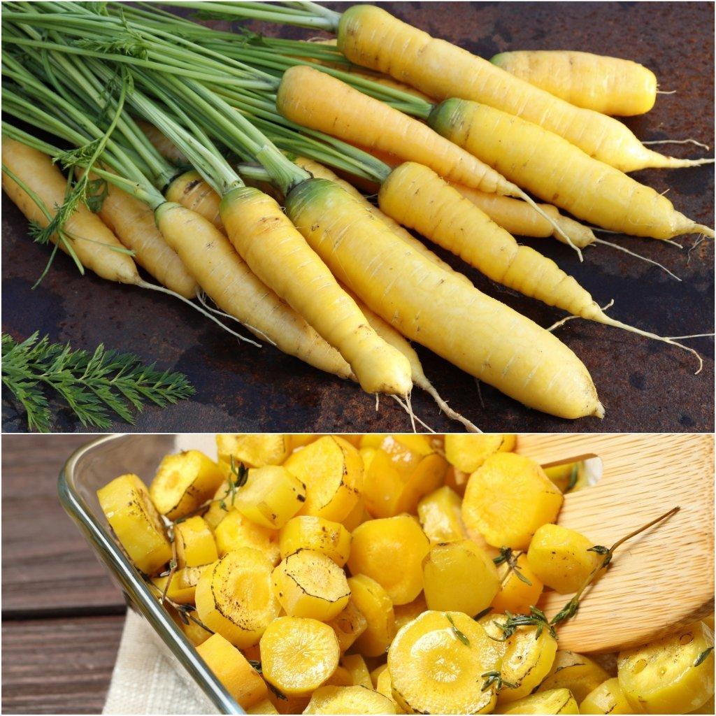 Carrot - Yellow Stone F1 seeds