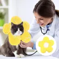 Cat Recovery Collar Cone Cat Sterilization Protective Cone After Surgery