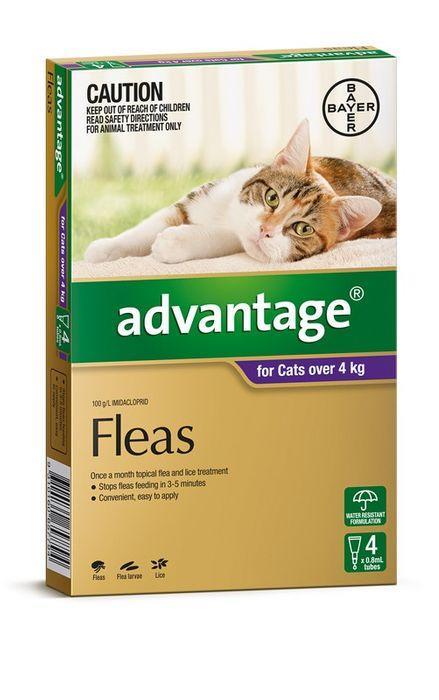 Advantage Cats Over 4kg 4 Pack
