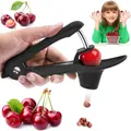 Cherry Pitter Clamp Seed Core Kitchen Tools Remover Olive Pit Black Stone AU