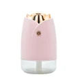 WT-H19 Rose Atomizing Humidifier with Colorful Night Lights, Water Tank Capacity: 230mL (Pink)