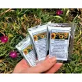 SUNFLOWER Wholesale Gift Pack seeds - 25 packets