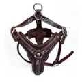 Real Leather Dog Harness with Center Metal
