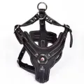 Real Leather Dog Harness with Center Metal