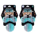 4pc Paws & Claws Dental Duo Pet Dog Teeth Clean Rubber Chew Ball/Baton Toy Blue