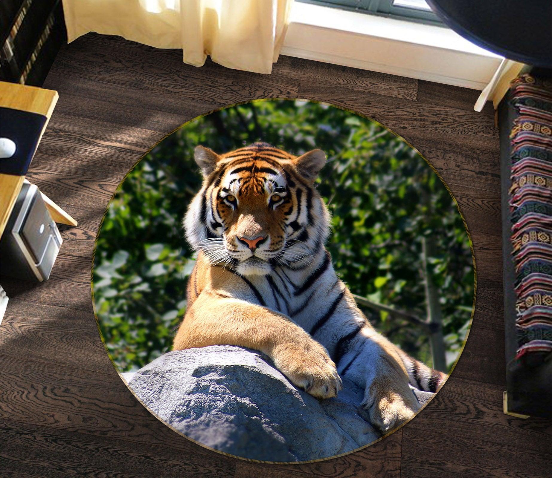3D Tiger Stone 82283 Animal Round Non Slip Rug Mat Room Mat Quality Elegant Photo Carpet