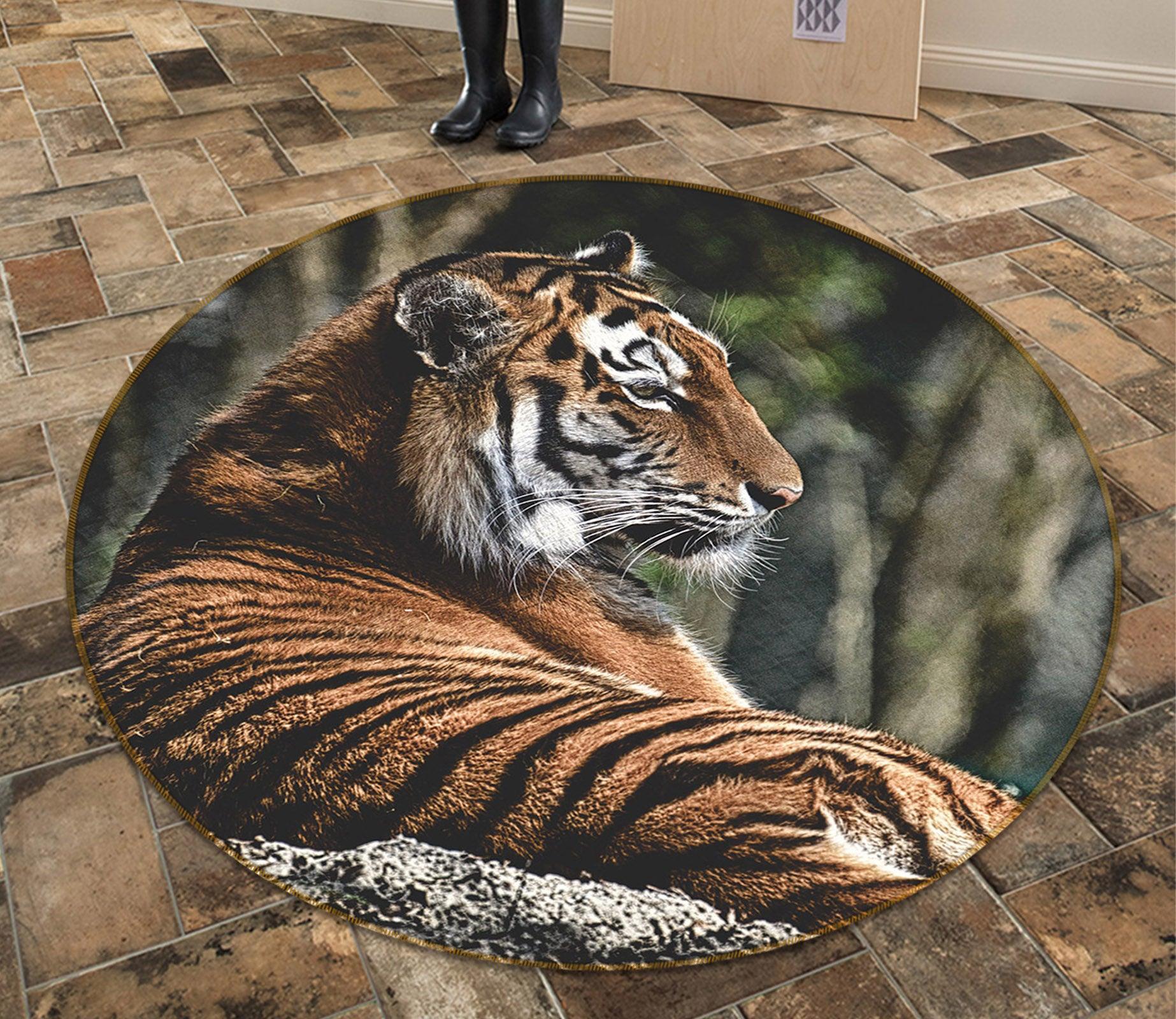 3D Tiger Rest 82286 Animal Round Non Slip Rug Mat Room Mat Quality Elegant Photo Carpet