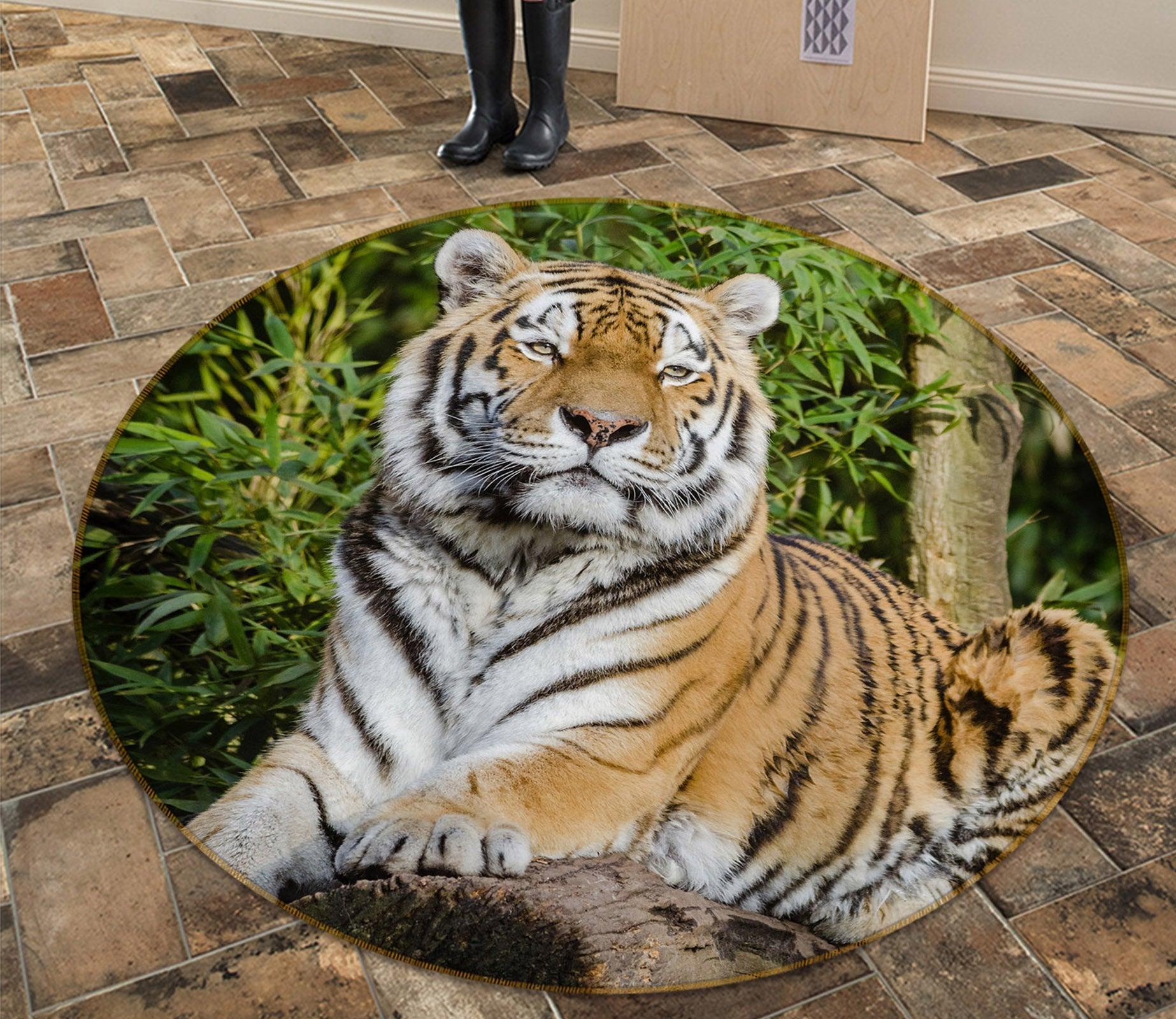 3D Tiger 81268 Animal Round Non Slip Rug Mat Room Mat Quality Elegant Photo Carpet