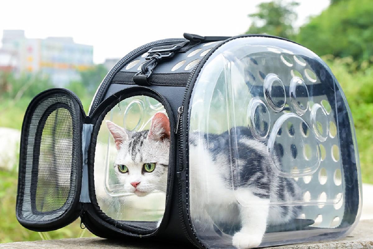 Pet Carrier Package Transparent Bags for Cats and Puppies(Black/S)