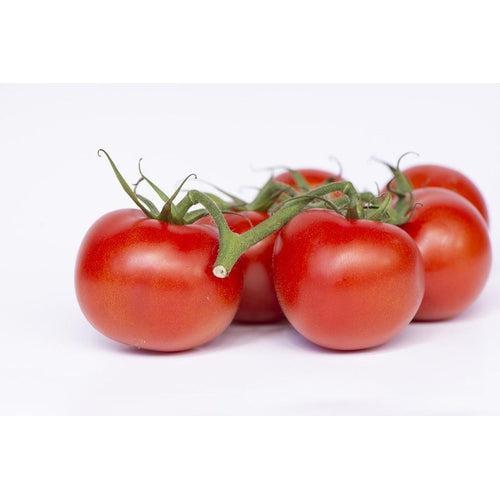 TOMATO Red Russian seeds - 25+ seeds
