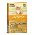 Advocate For Small Cats Up To 4kg