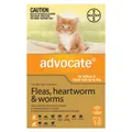 Advocate For Kittens And Small Cats (Up To 4kg) - 3 Pack