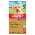 Advantix For Extra Large Dogs (Over 25kg) - 3 Pack
