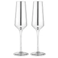 2PK Aurora Metallic 500ml Champagne Flute Glass Drinking Cup Stemware Set Silver