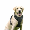 Dog Harness No-pull Adjustable Outdoor