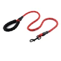 Pet Puppy Dogs Padded Training Handle Recall Leash - Red