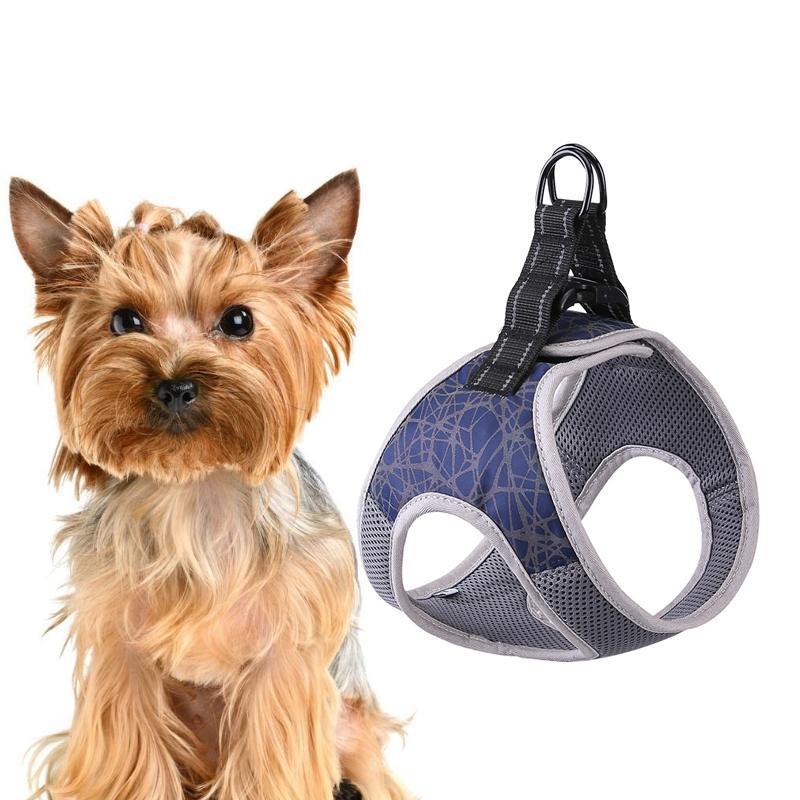 Dog Leash Vest Type Pet Chest Harness Special Leash For Small Dogs, Specifications (length * width): L(Blue)