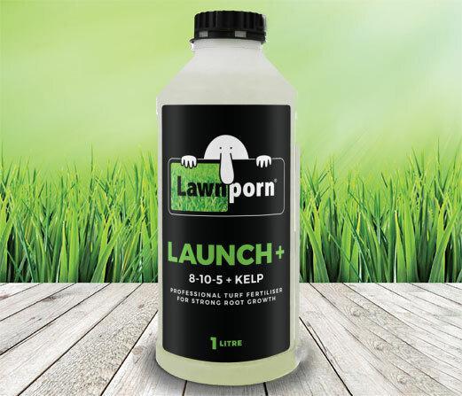 Lawnporn Launch+ Lawn Turf Kelp Fertiliser 1Lt