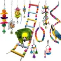 10 in 1 Parrot Toy Set Ladder Mirror String Of Bells