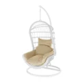 Celia Outdoor PE Rattan Hanging Egg Chair - White