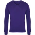 Premier Mens V-Neck Knitted Sweater (Purple) (XL)