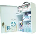 Livingstone Farmer First Aid Kit, Complete Set In Metal Case