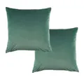 Bianca Pair of Vivid Coordinate Velvet Sage European Pillowcases 65 x 65 cm