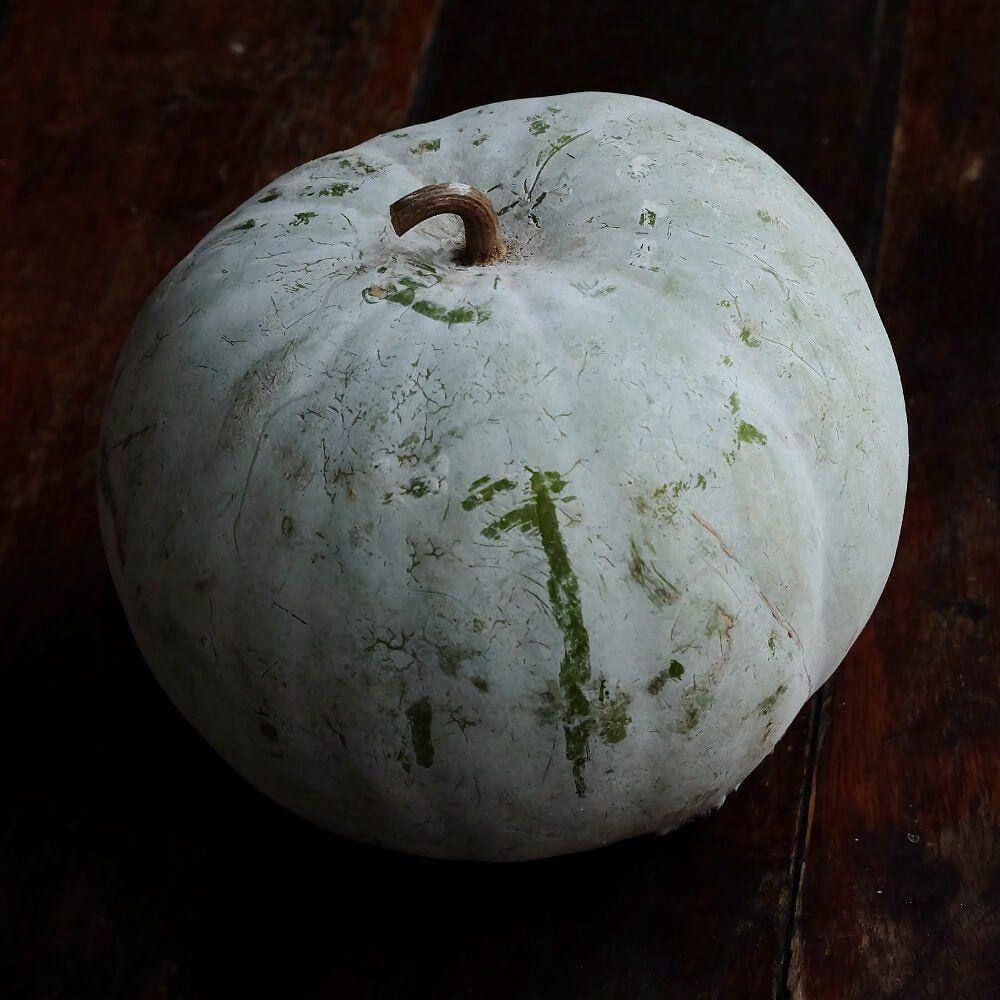 Wax Gourd - Winter Melon Round seeds