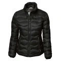 Nimbus Womens/Ladies Sierra Padded Water Resistant Down Jacket (Black) (XL)