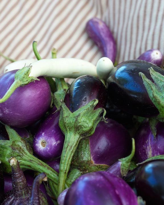 EGGPLANT 'Heirloom Mix' seeds - Standard packet (see description for seed quantity)