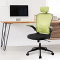 Advwin Mesh Office Chair Adjustable Height Ergonomic Chair High Back Swivel Executive Computer Desk Work Seat Green