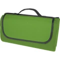 Bullet Salvie Plastic Picnic Blanket (Green) (One Size)
