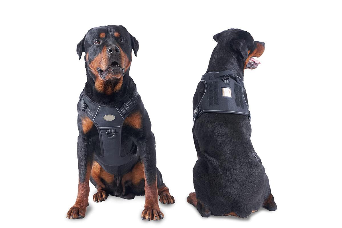 No-Pull Training Dog Harness Adjustable Reflective Pet Training Vest Easy Control(M)