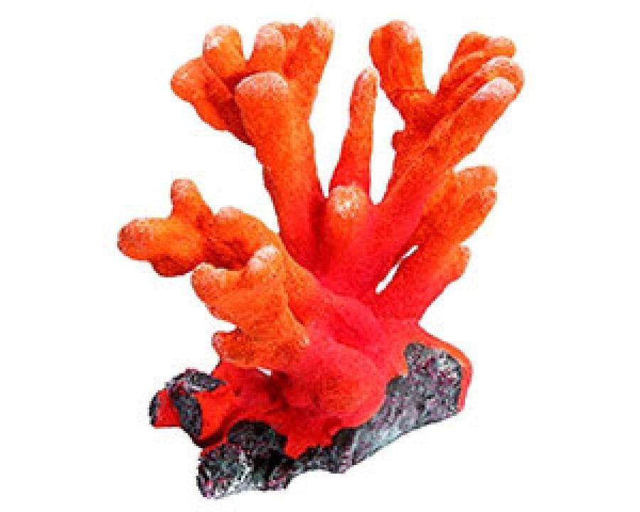Copi Coral Orange Medium 18.5x12.5x16.5cm Bird Nest Aquarium Fish Ornament by Aqua One