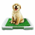 Indoor Grass Pad Potty Training Pet Basic Dog Loo Box Easy Clean Up Odour Resist
