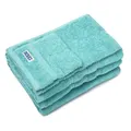 Dickies 550GSM 5 Pce 100% Cotton Anti-Bacterial Towel Pack Seafoam