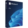 Microsoft HAV-00163 Windows 11 Professional Retail 64-bit USB Flash Drive