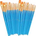 Paint Brushes Set, 2 Pack 20 Pcs Round Pointed Tip Paintbrushes Nylon Hair Artist Acrylic Paint Brushes for Acrylic Oil Watercolor, Face Nail Art, Miniature Detailing & Rock Painting, Blue
